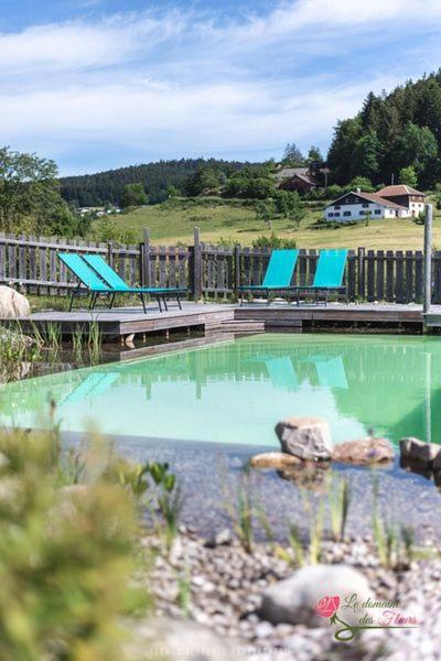 Le Domaine Des Fleurs - Appartement La Gentiane Gerardmer Ngoại thất bức ảnh